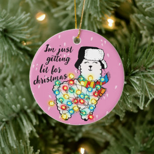 Lit Llama Christmas Lights Ornament kopen
