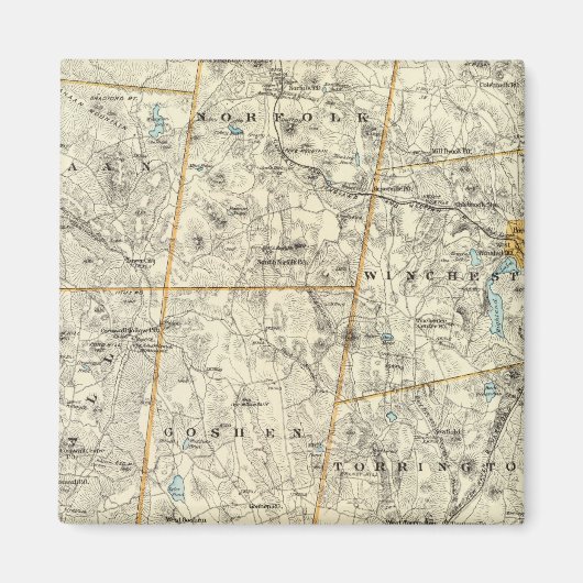 Litchfield Co N Magneet (Voorkant)