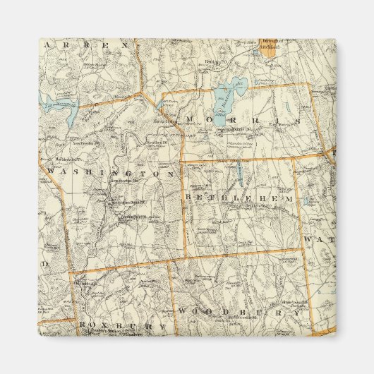 Litchfield Co S Magneet (Voorkant)