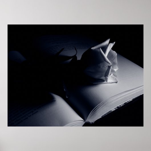 Literair Roos Poster (Voorkant)