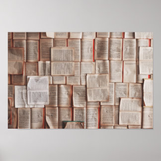 literaire opengeleerde boeken poster