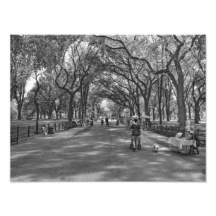 Literary Walk - Central Park, New York Foto Afdruk
