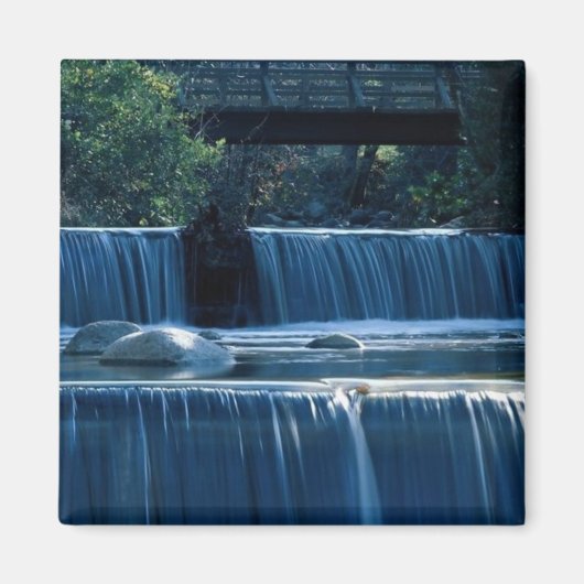 Lithia Park Island Magneet (Voorkant)