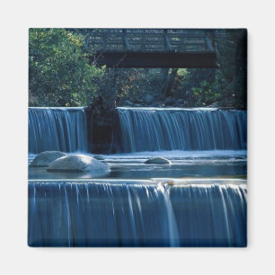Lithia Park Island, Oregon Magneet