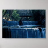 Lithia Park Island Poster (Voorkant)