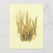 lithograaf voor gerst, tarwe en rogge briefkaart (Voorkant)