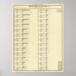 Lithografie van de Amerikaanse bevolking Poster