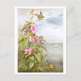 Lithograph Marsh Mallow met Vogel Briefkaart