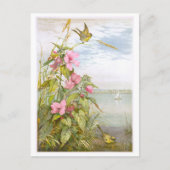  Lithograph Marsh Mallow met Vogel Briefkaart (Voorkant)