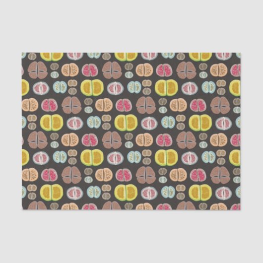 Lithops Tissuepapier (Voorkant)