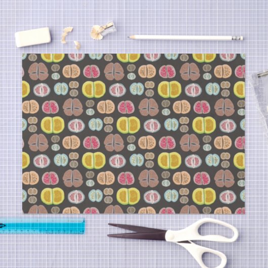 Lithops Tissuepapier (Craft)