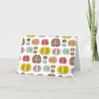 Lithops - transparant kaart