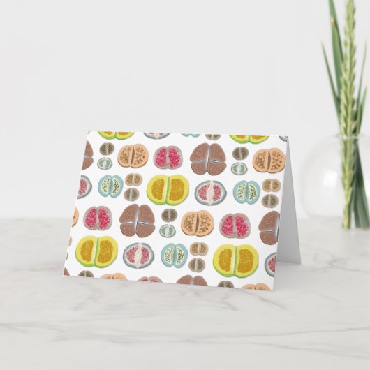 Lithops - transparant kaart (Voorkant)