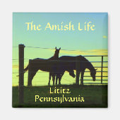 Lititz. Amish Horses op Sunset. Magneet (Voorkant)