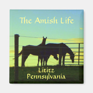 Lititz. Amish Horses op Sunset. Magneet