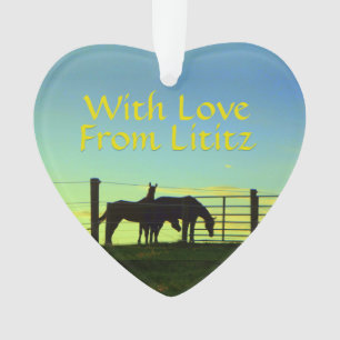 Lititz Ornament! Boerderij leven! Personaliseer je Ornament