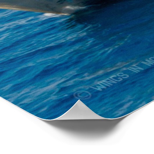 LITOTAAL COMBAT SHIP - LCS-4 POSTER (Hoek)