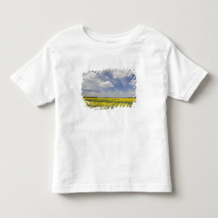 Litouwen, Centraal-Litouwen, Joniskis, veld van Kinder Shirts