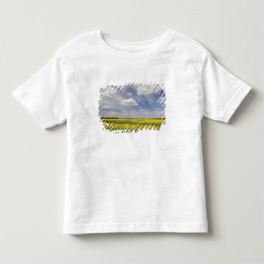 Litouwen, Centraal-Litouwen, Joniskis, veld van Kinder Shirts (Voorkant)