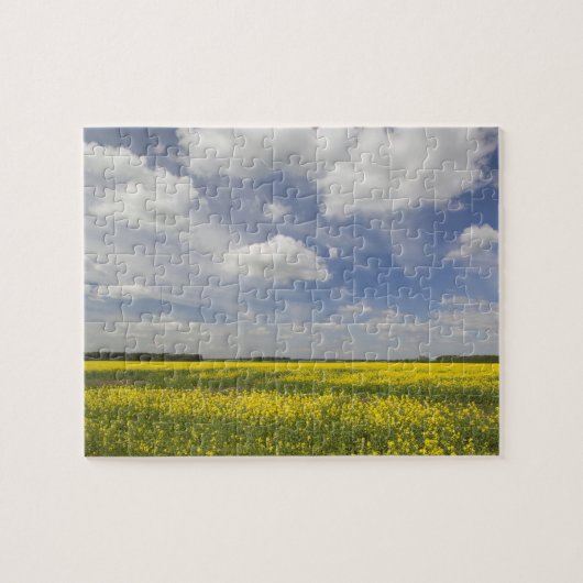 Litouwen, Centraal Litouwen, Joniskis, veld van Legpuzzel (Horizontaal)