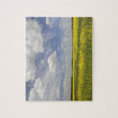 Litouwen, Centraal Litouwen, Joniskis, veld van Legpuzzel (Verticaal)