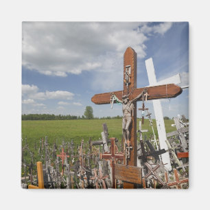 Litouwen, Centraal-Litouwen, Siauliai, Heuvel Magneet