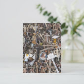 Litouwen, Centraal-Litouwen, Siauliai, Hill 2 Briefkaart (Staand voorkant)