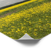 Litouwen, Midden-Litouwen, Joniskis, gebied Poster (Hoek)