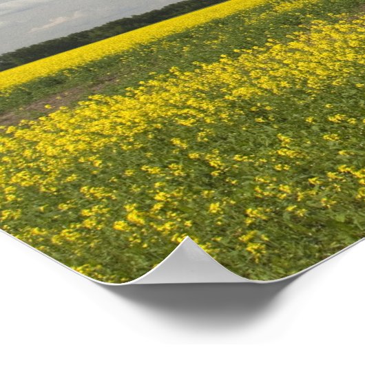 Litouwen, Midden-Litouwen, Joniskis, gebied Poster (Hoek)