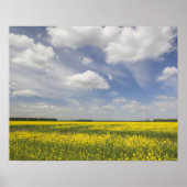 Litouwen, Midden-Litouwen, Joniskis, gebied Poster (Voorkant)