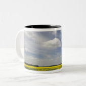 Litouwen, Midden-Litouwen, Joniskis, gebied Tweekleurige Koffiemok (Voorkant links)