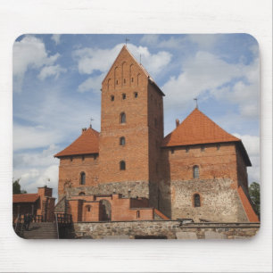 Litouwen, Trakai, Trakai Historisch Nationaal 3 Muismat