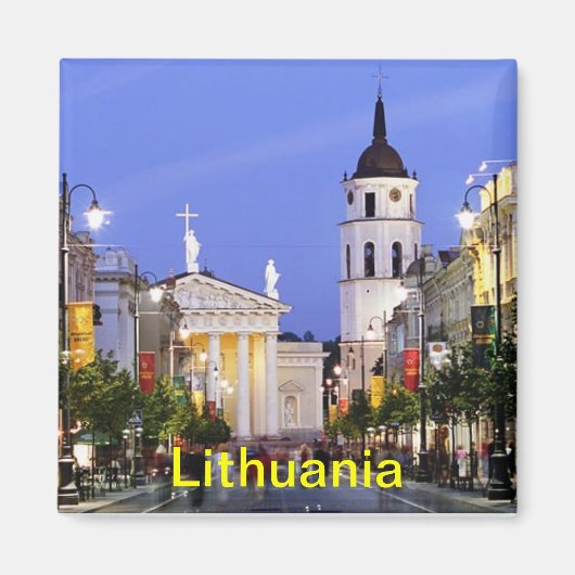 Litouwse magneet (Voorkant)