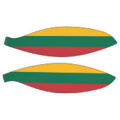 Litouwse vlag basketbal (Panelen)