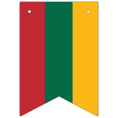Litouwse vlag en Litouwse banners/bruiloft Vlaggetjes (Eerste vlag)