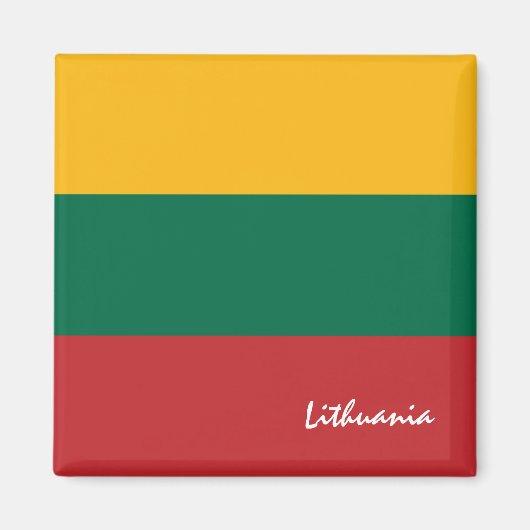 Litouwse vlag en reizen, vakantie/sport magneet (Voorkant)
