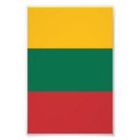 Litouwse vlag