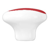 Litouwse vlag keramische knop (Zijkant)