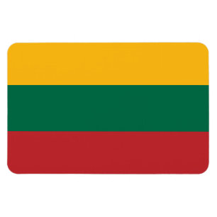 Litouwse vlag magneet
