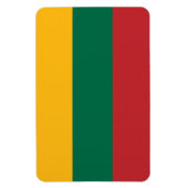 Litouwse vlag magneet (Verticaal)