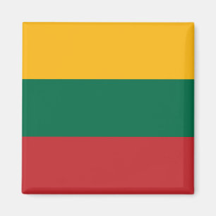 Litouwse Vlag Magneet