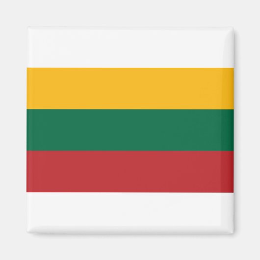 Litouwse vlag magneet (Voorkant)