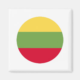 Litouwse vlag magneet