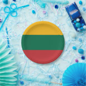 Litouwse vlag papieren bordje (Feest)