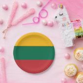 Litouwse vlag papieren bordje (Feest)