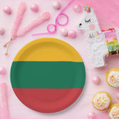 Litouwse vlag papieren bordje (Feest)