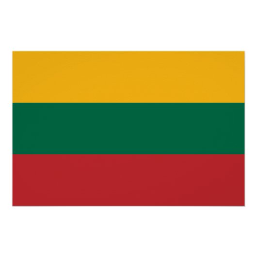 Litouwse vlag perfect poster (Voorkant)