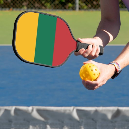 Litouwse vlag pickleball paddle (Insitu)