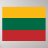 Litouwse vlag poster (Voorkant)