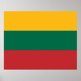 Litouwse vlag poster